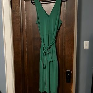 NWT sleeveless Banana Republic Dress size large.